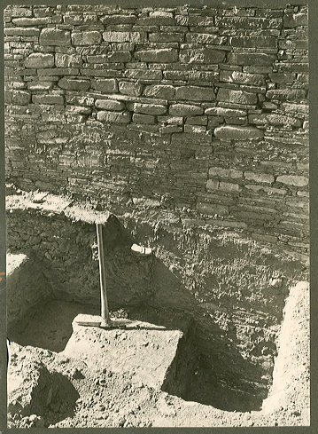 judd_ngs_0736.jpg