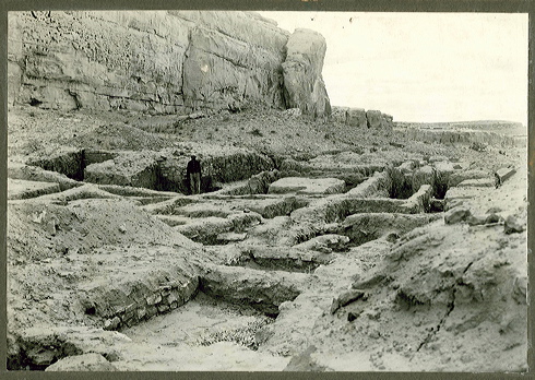 judd_ngs_0737.jpg