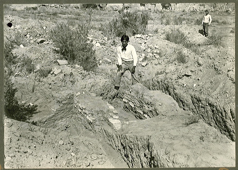 judd_ngs_0739.jpg