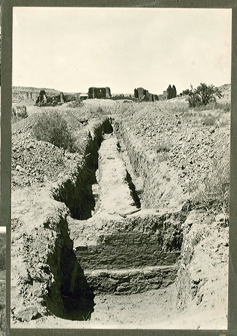 judd_ngs_0753.jpg