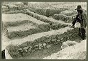 judd_ngs_0741