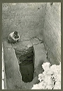 judd_ngs_0845
